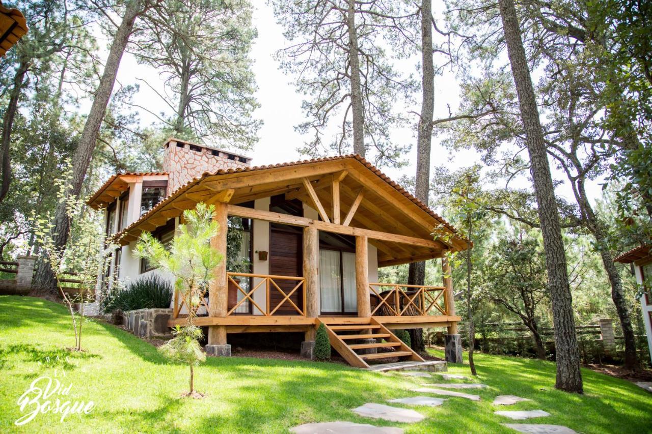 Hotel Cabañas La Vid Del Bosque Tapalpa Exterior foto