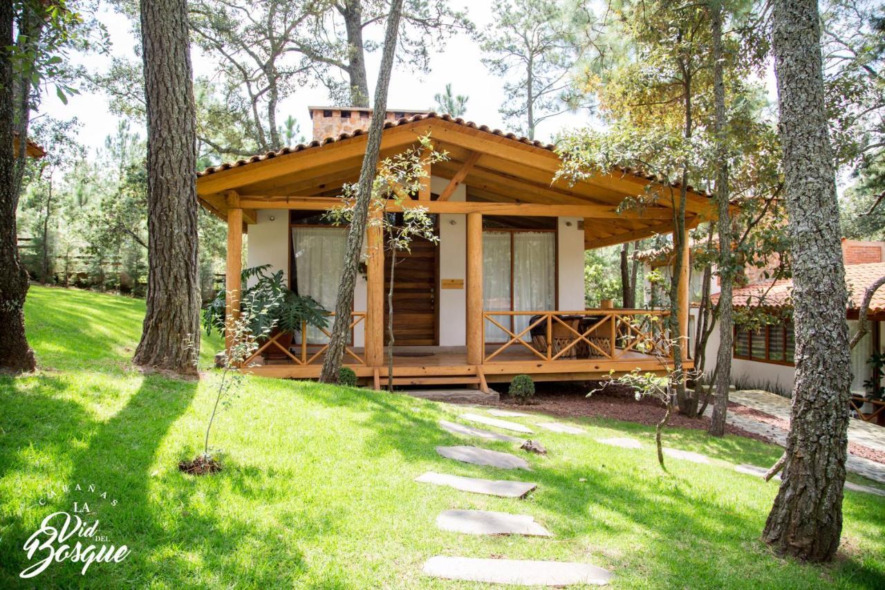 Hotel Cabañas La Vid Del Bosque Tapalpa Exterior foto