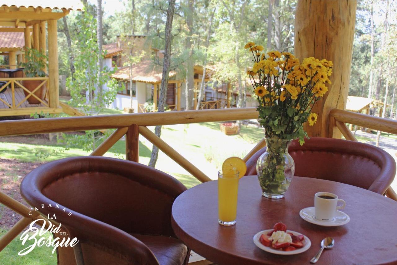 Hotel Cabañas La Vid Del Bosque Tapalpa Exterior foto
