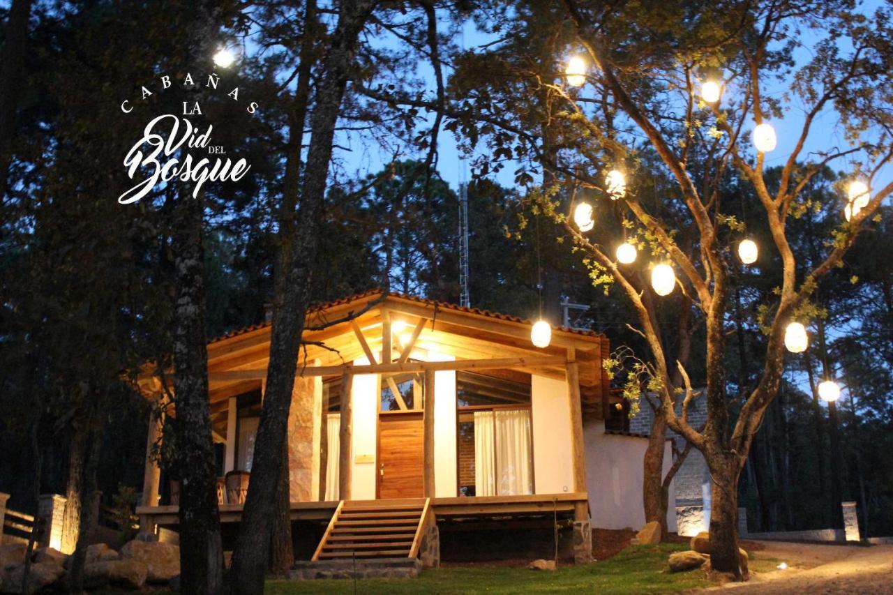 Hotel Cabañas La Vid Del Bosque Tapalpa Exterior foto