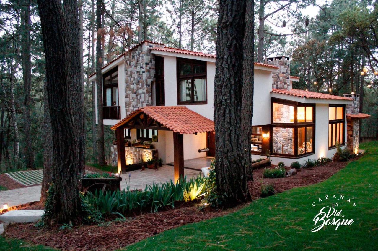 Hotel Cabañas La Vid Del Bosque Tapalpa Exterior foto