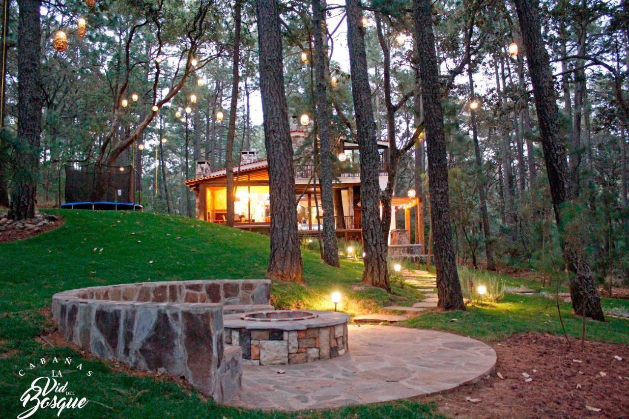 Hotel Cabañas La Vid Del Bosque Tapalpa Exterior foto