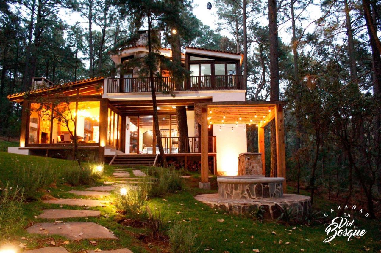 Hotel Cabañas La Vid Del Bosque Tapalpa Exterior foto