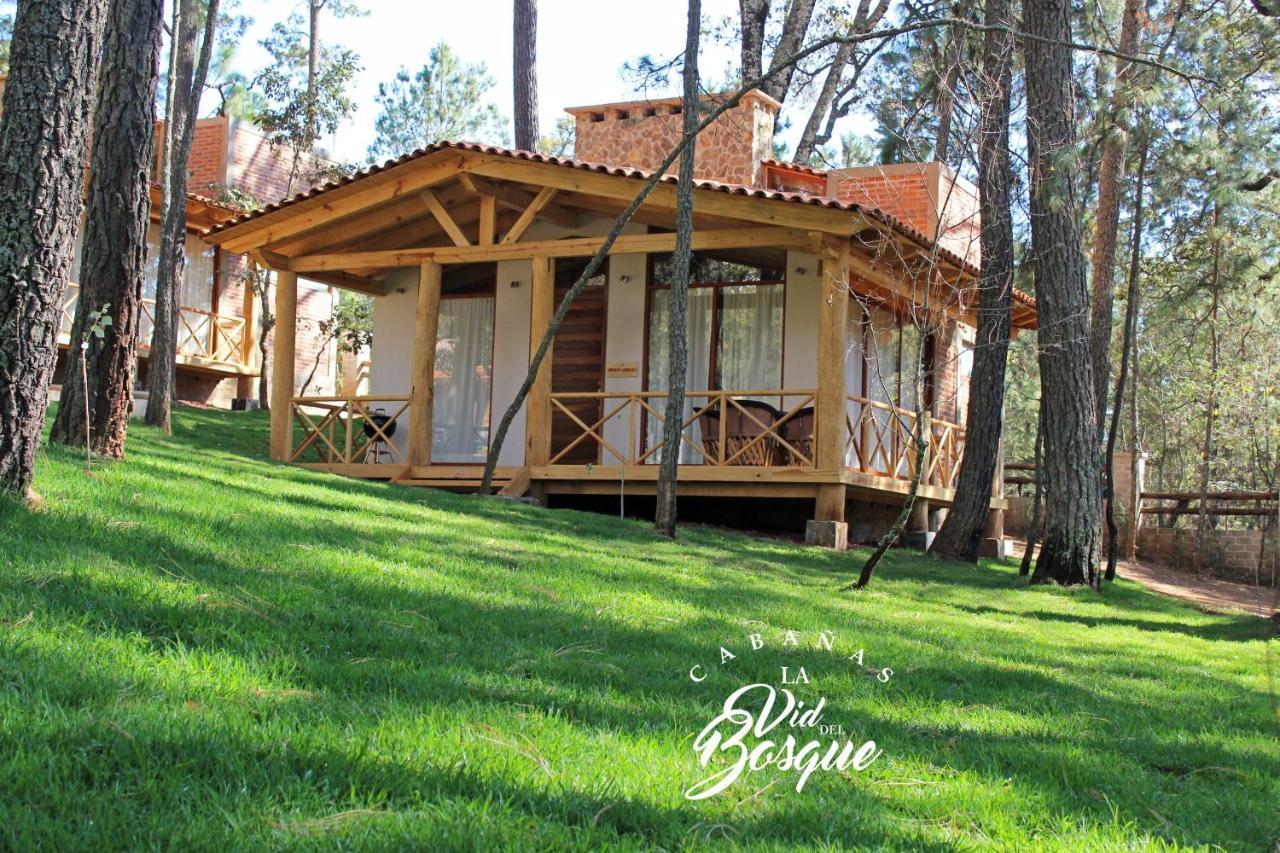 Hotel Cabañas La Vid Del Bosque Tapalpa Exterior foto