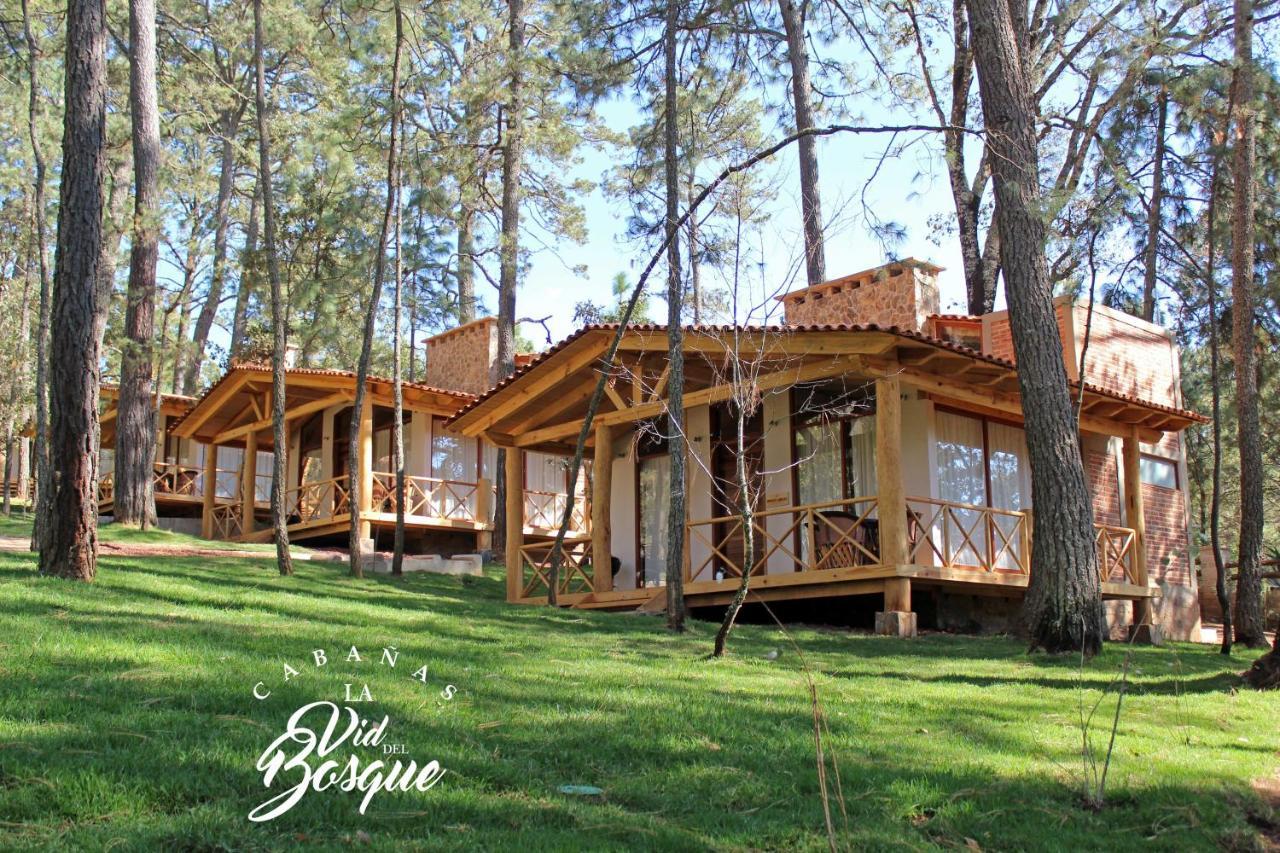 Hotel Cabañas La Vid Del Bosque Tapalpa Exterior foto