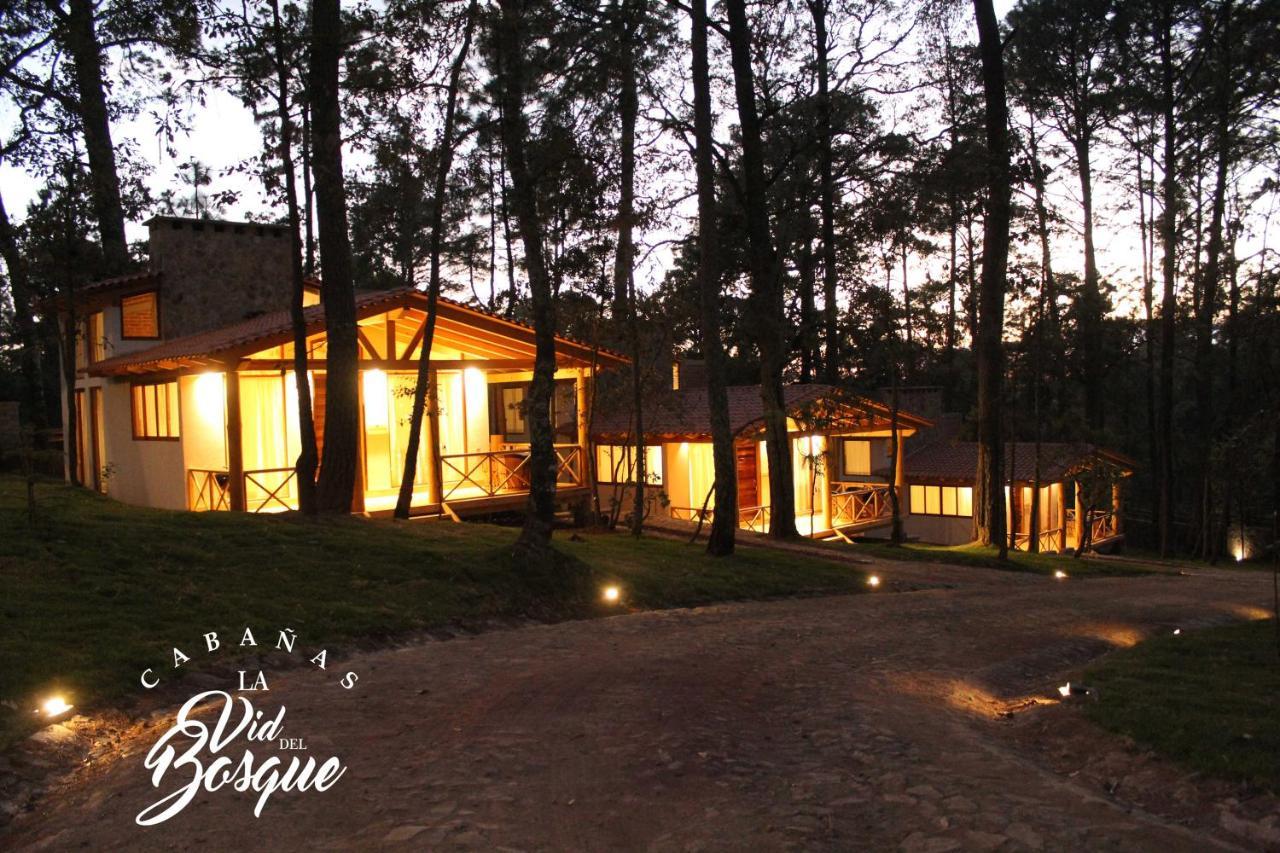 Hotel Cabañas La Vid Del Bosque Tapalpa Exterior foto