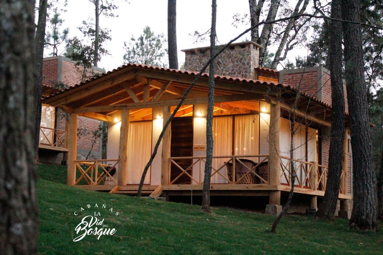 Hotel Cabañas La Vid Del Bosque Tapalpa Exterior foto